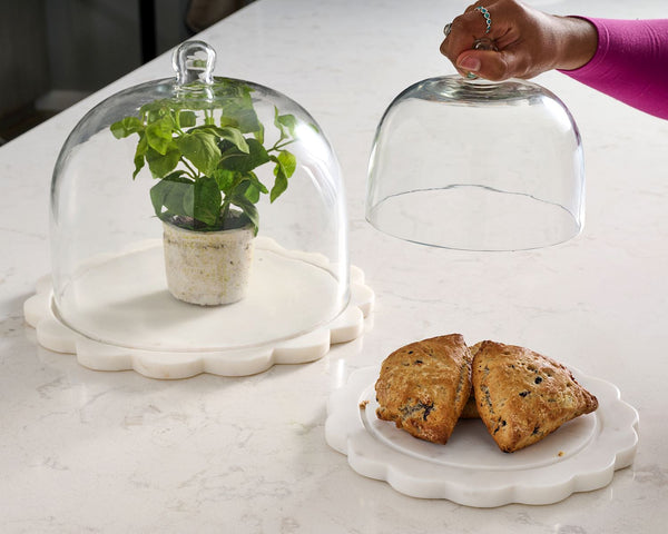 Scallop & Marble Cloche